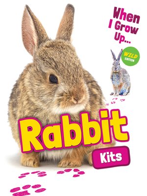 cover image of Rabbit Kits